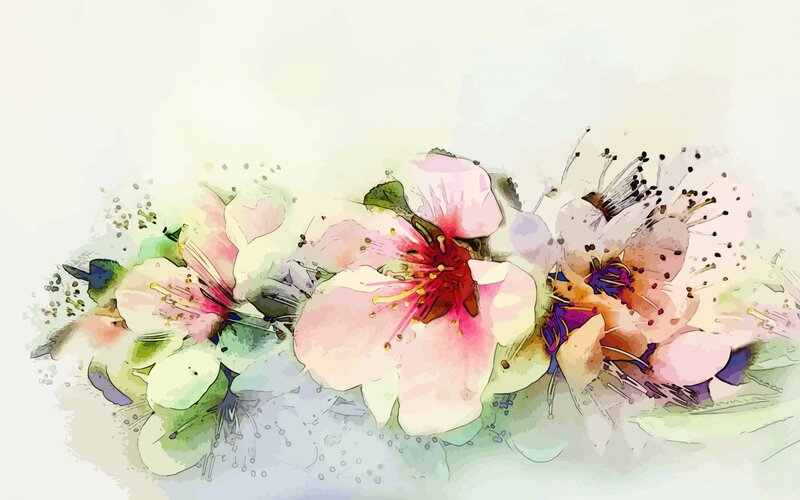 Pink Blossoms on Branch — Serene, Spring, Digital Art
