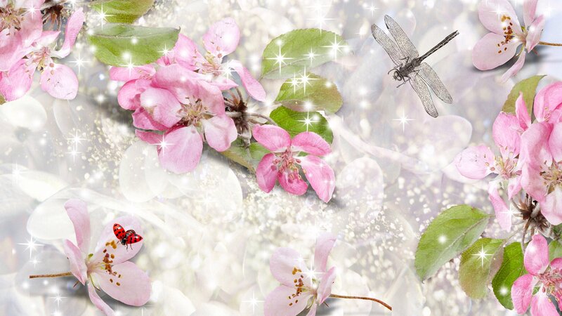 Pink Blossoms with Insects