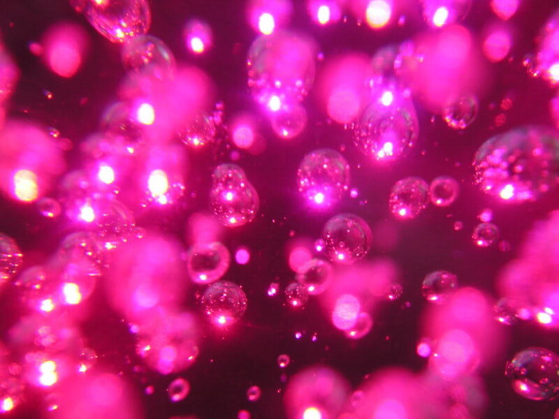 pink bubbles in liquid