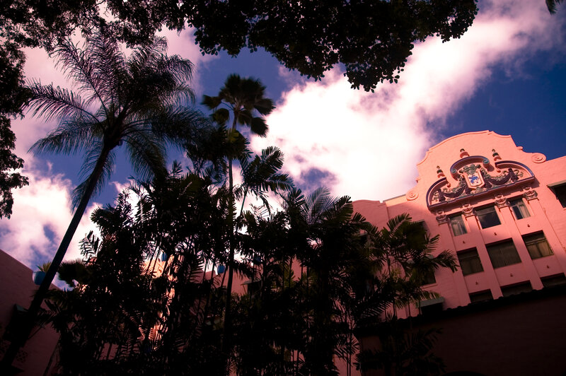 Pink Building with Palm Trees — Dramatic