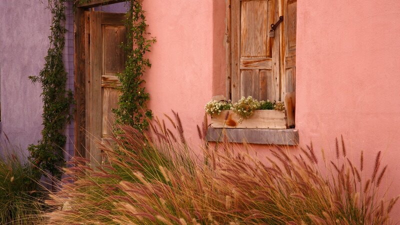 Pink Building with Plants — Serene, Sunset