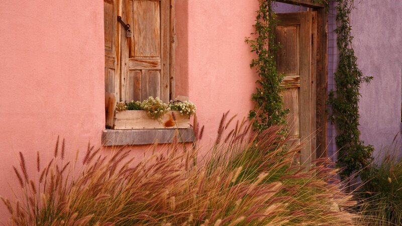 Pink Building with Plants — Serene