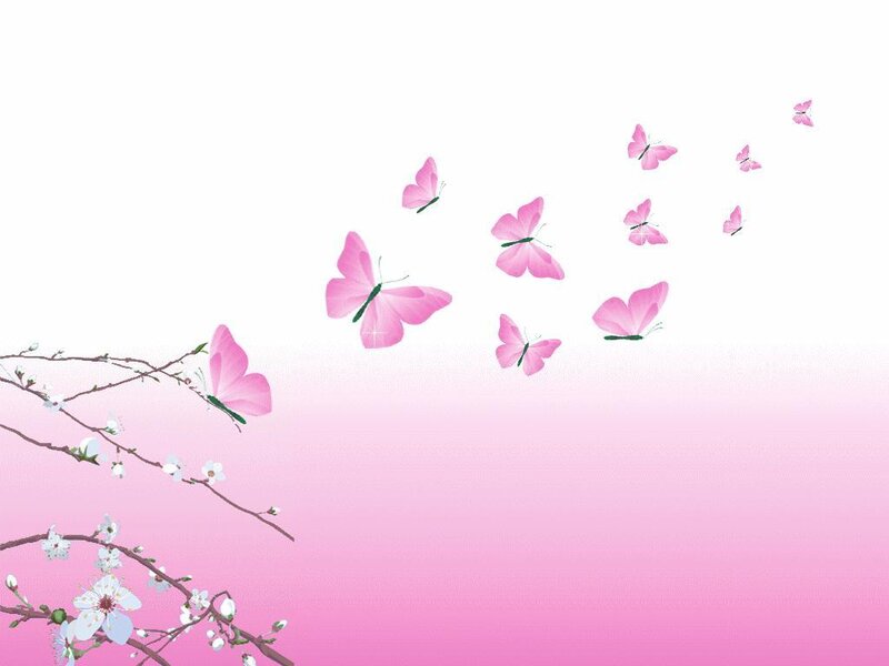 pink butterflies and blossoms