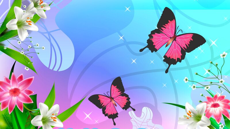 Pink Butterflies and Flowers — Blue, Serene