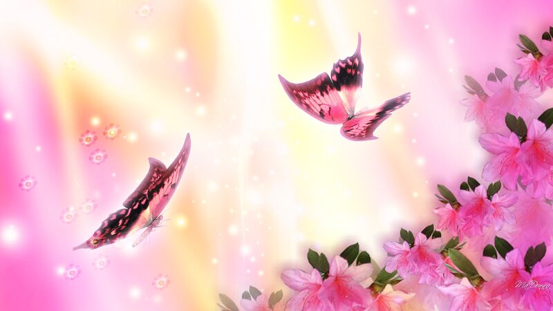Pink Butterflies and Flowers — Dreamy, Spring