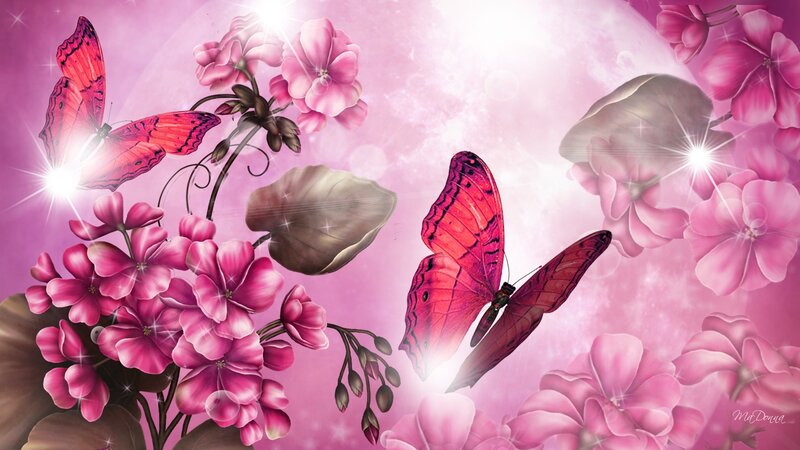 Pink Butterflies and Flowers — Dreamy