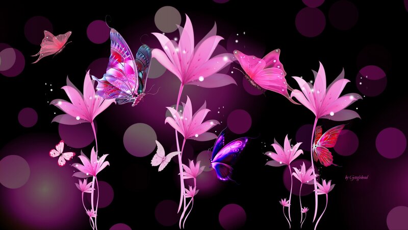 Pink Butterflies and Flowers — Purple, Dreamy, Night