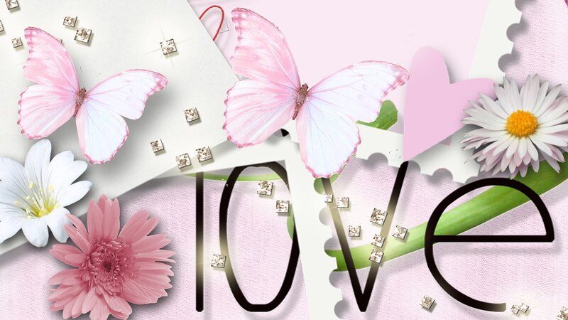 Pink Butterflies and Flowers — Romantic