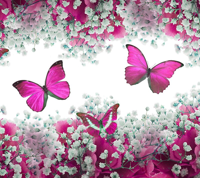 Pink Butterflies and Flowers — Serene, Digital Art, White Blossoms