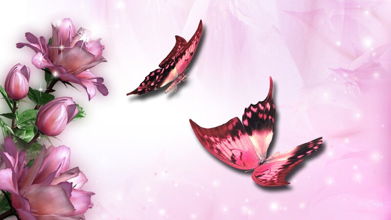 Pink Butterflies and Flowers — Serene