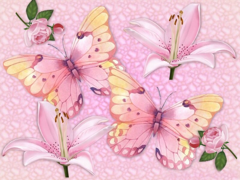 Pink Butterflies and Lilies