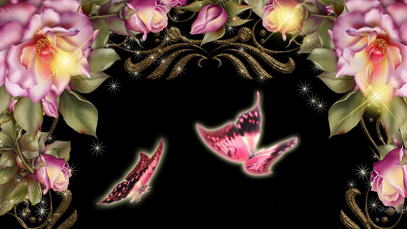 Pink Butterflies and Roses — Black