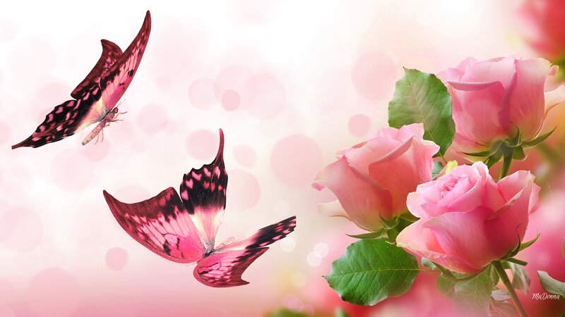 Pink Butterflies and Roses — Serene, Digital Art, Leaves