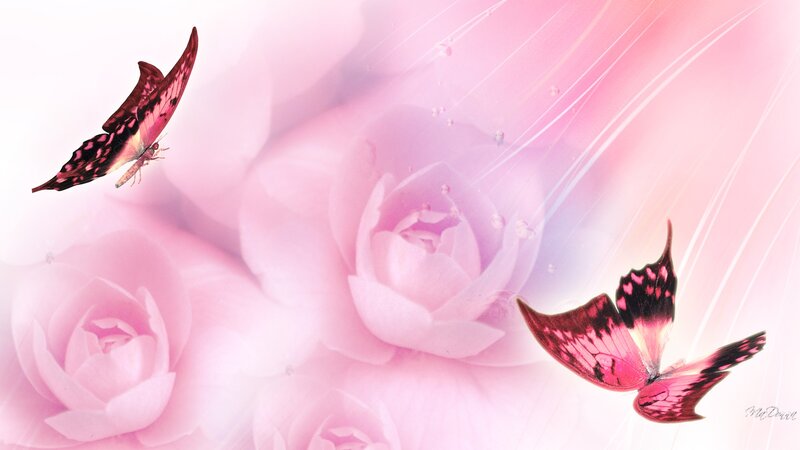 Pink Butterflies and Roses — Serene, Digital Art