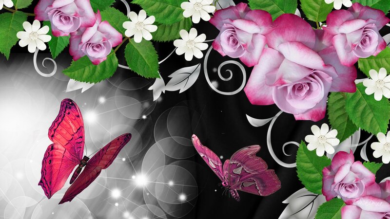 Pink Butterflies and Roses