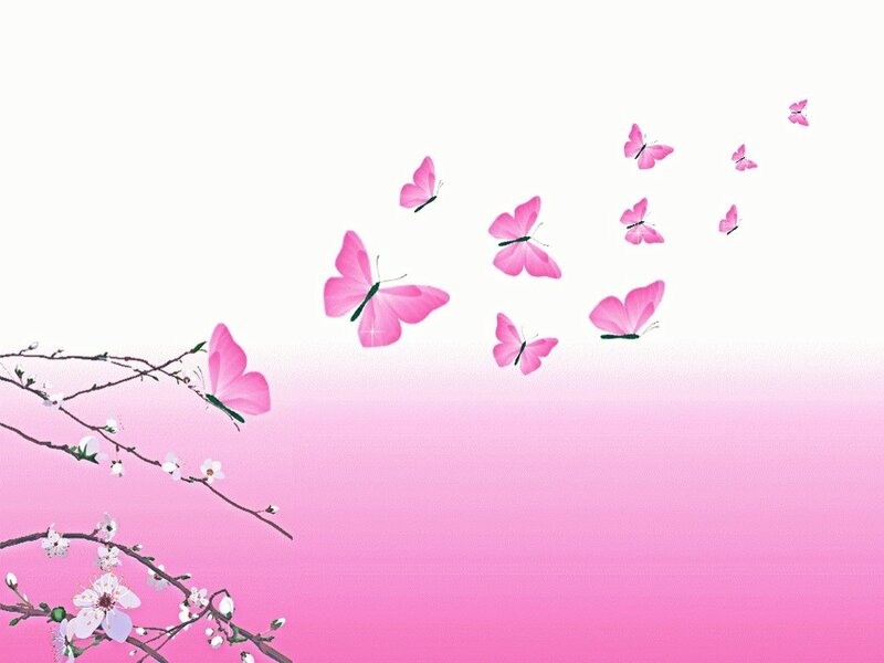 Pink Butterflies Flying