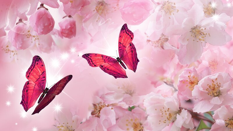 Pink Butterflies in Flowers