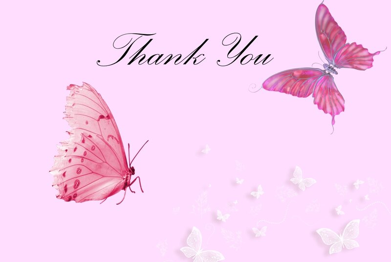 Pink Butterflies on Pink