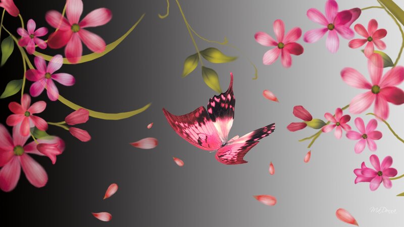 Pink Butterfly Among Flowers — Serene