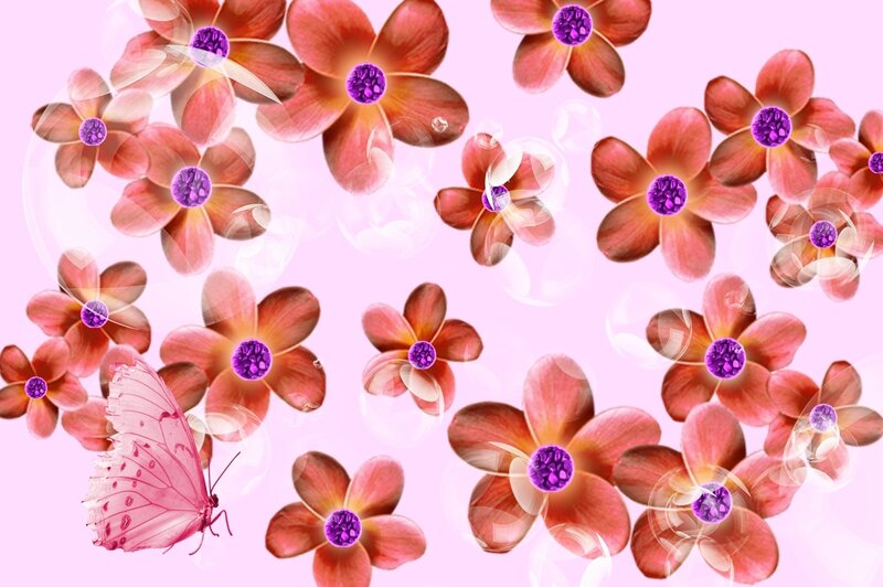 Pink Butterfly and Flowers — Dreamy, Digital Art