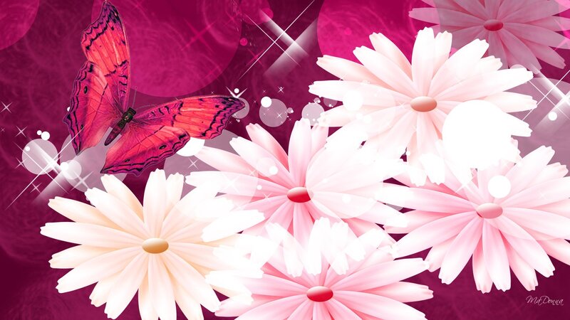 Pink Butterfly and Flowers — Dreamy