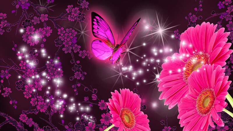 Pink Butterfly and Flowers — Magical