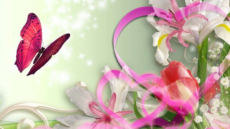 Pink Butterfly and Flowers — Serene
