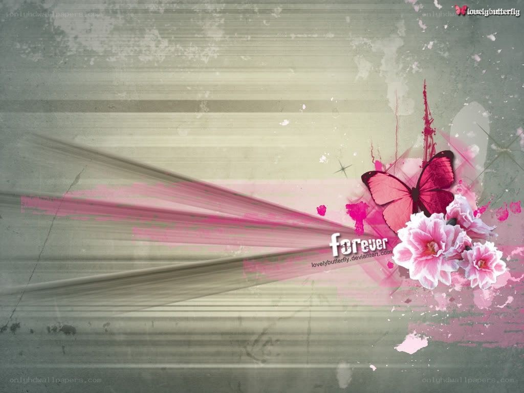 pink butterfly and flowers