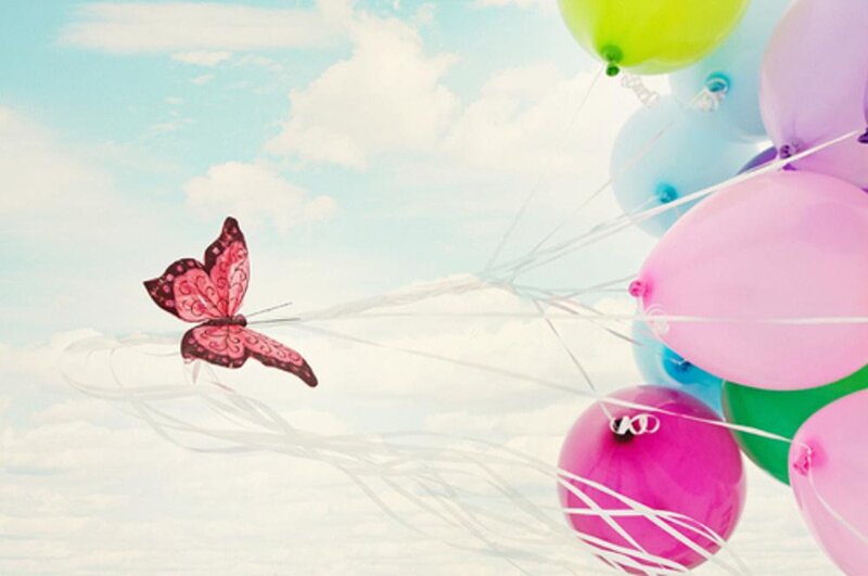 Pink Butterfly Flying