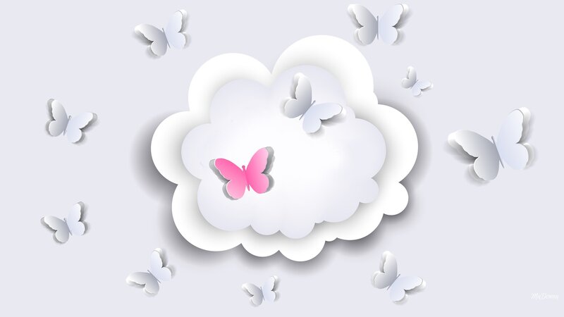 Pink Butterfly in Cloud