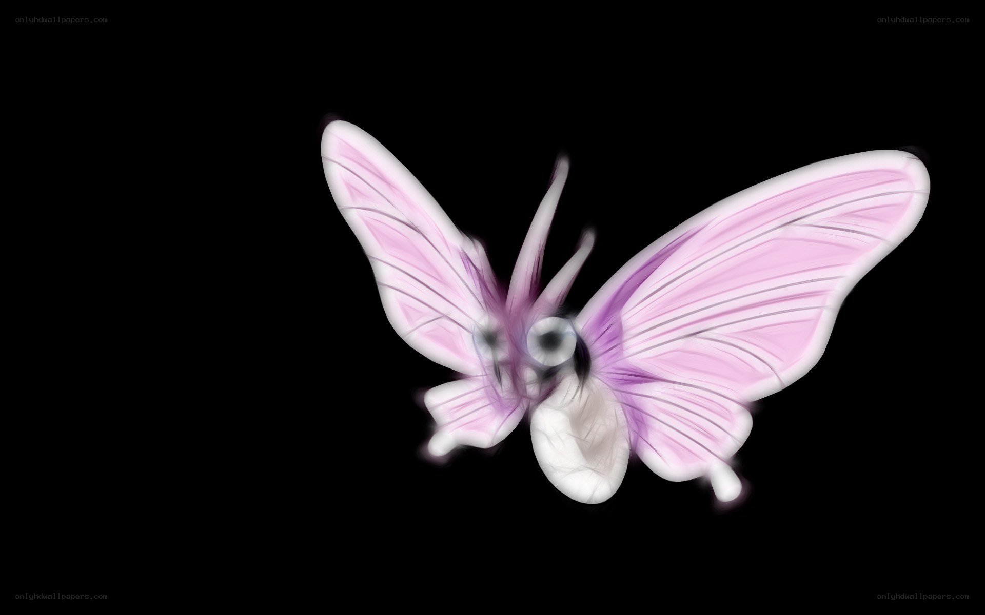 pink butterfly in motion