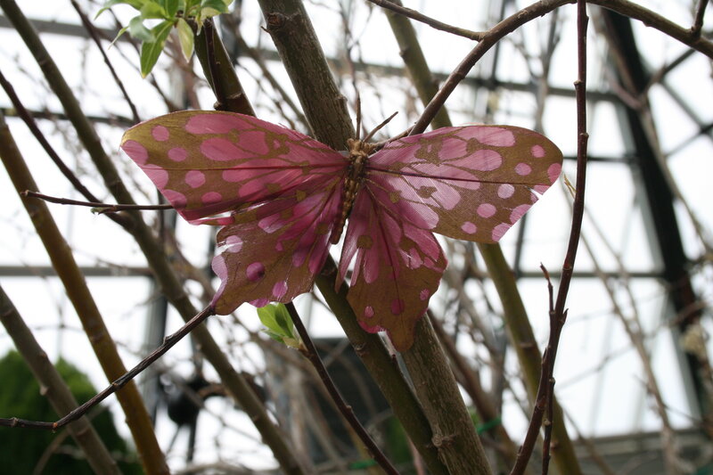 Pink Butterfly Ornament