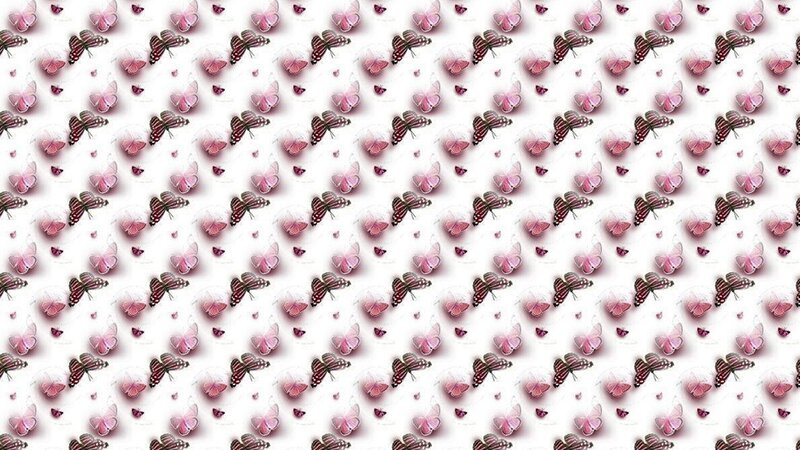 Pink Butterfly Pattern — Calm