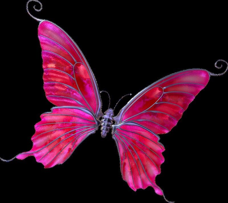 Pink Butterfly