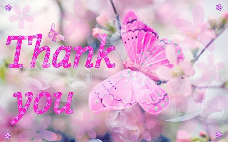 Pink Butterfly with Flowers — Serene