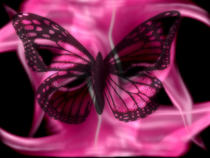 pink butterfly with glowing wings