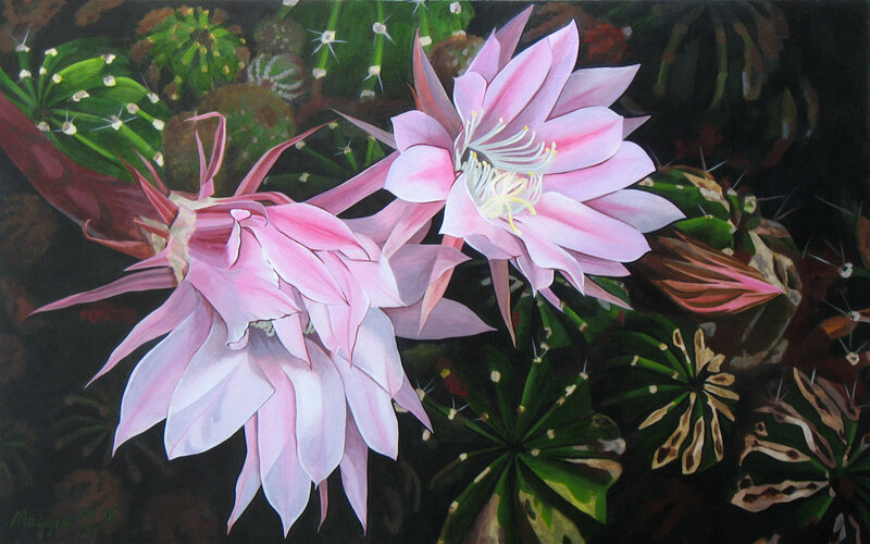 Pink Cactus Flowers — Dramatic, Night