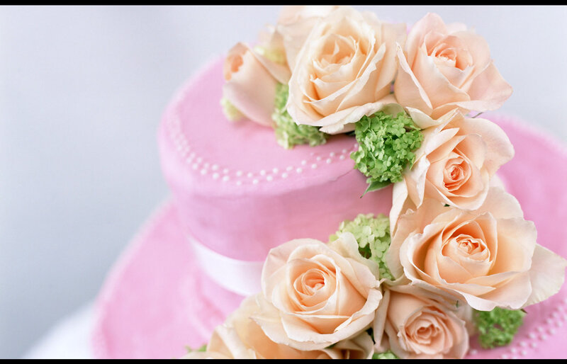 Pink Cake with Roses — Elegant, Photograph