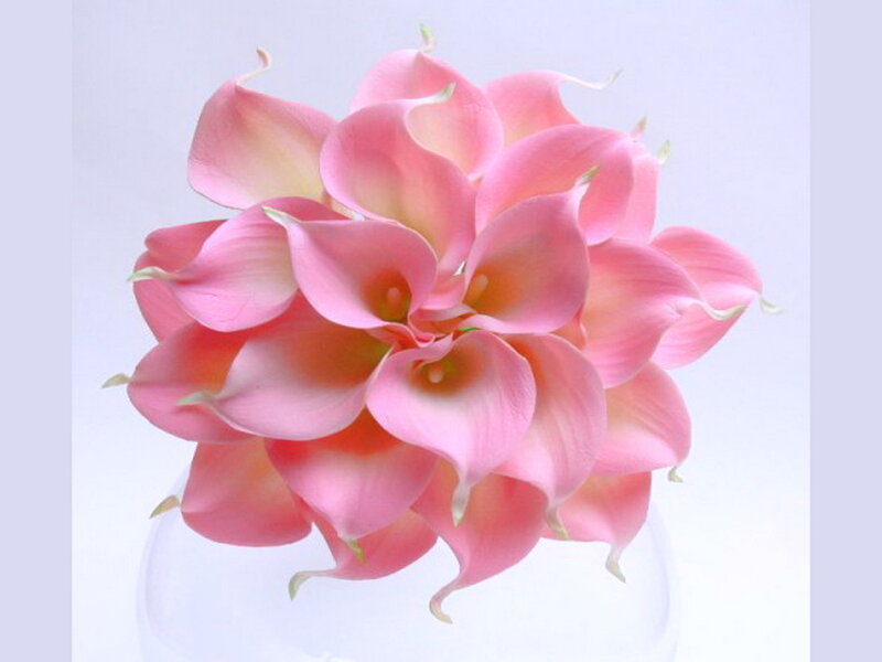Pink Calla Lilies Bouquet — Serene