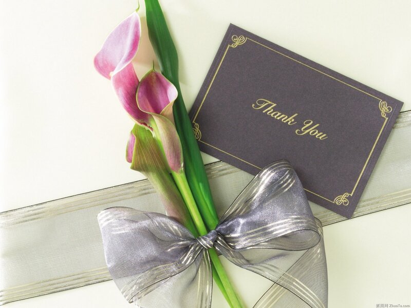 Pink Calla Lilies with Card — Purple