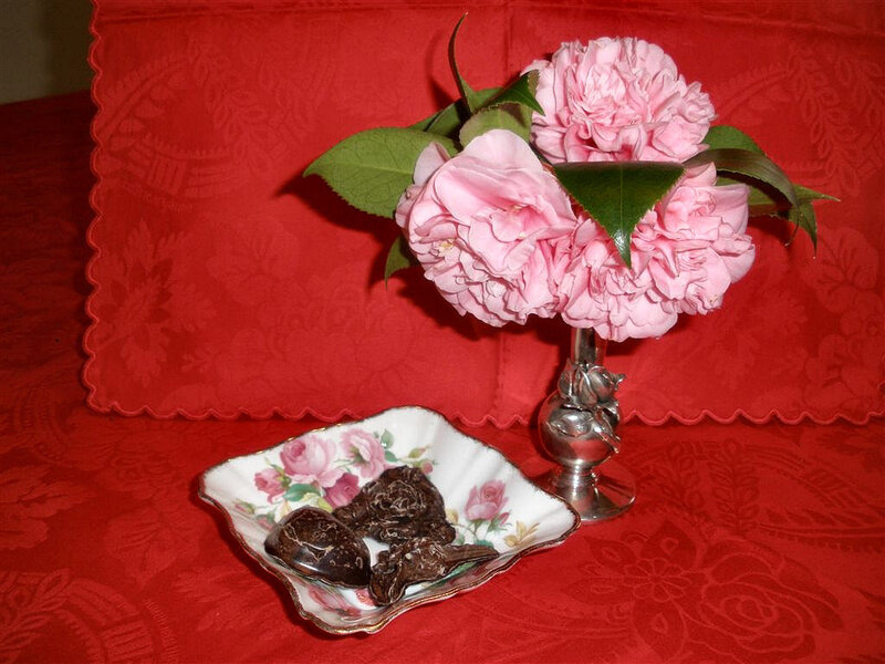Pink Camellia Flowers — Red