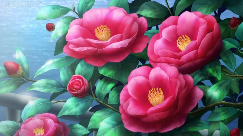 Pink Camellia Flowers — Serene, Anime