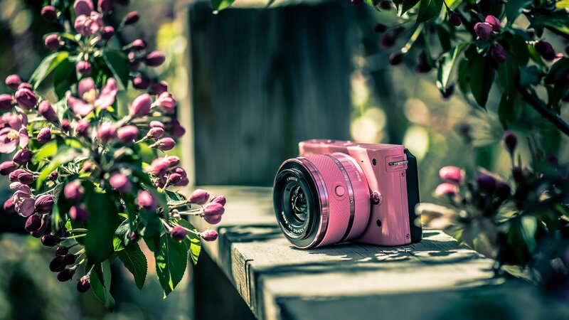 Pink Camera on Bench