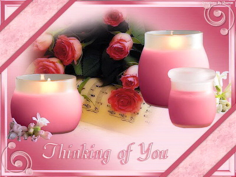 Pink Candles and Roses