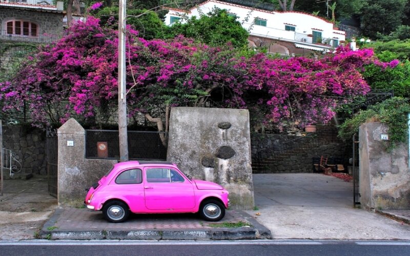 Pink car under purple flowers