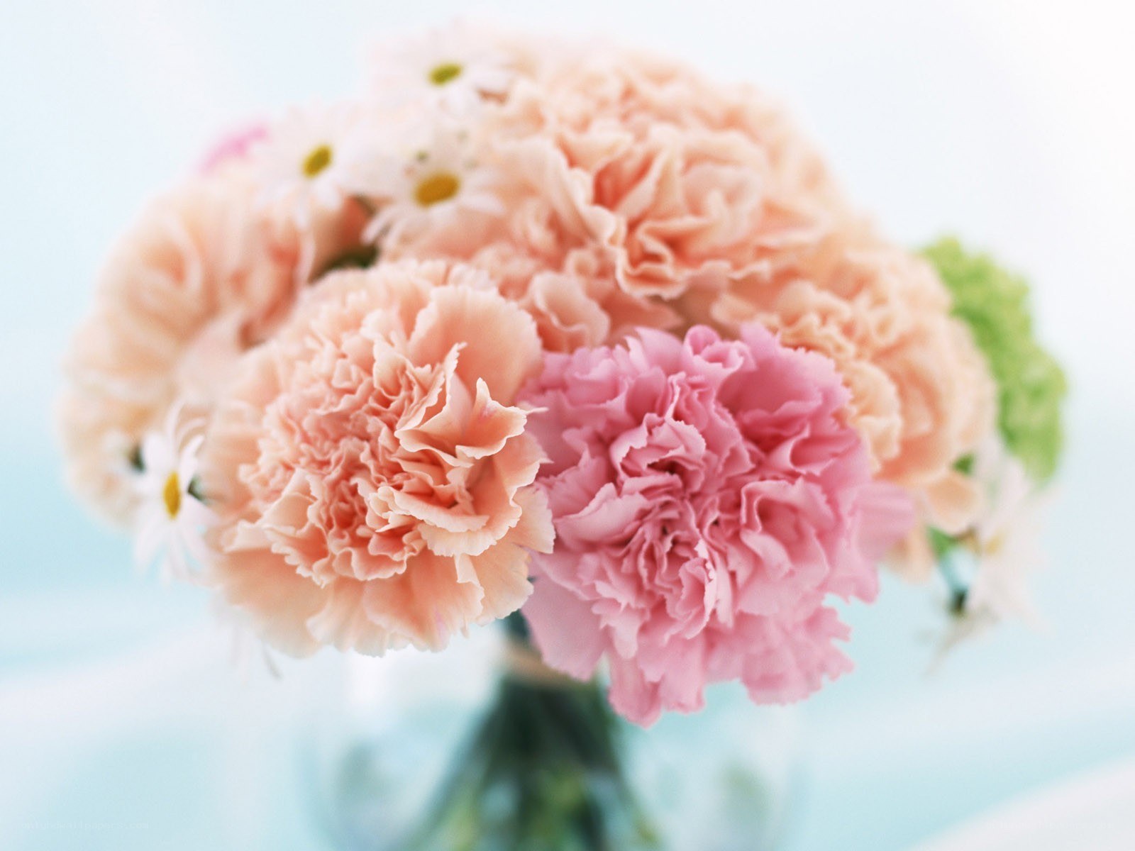 Pink carnation bouquet