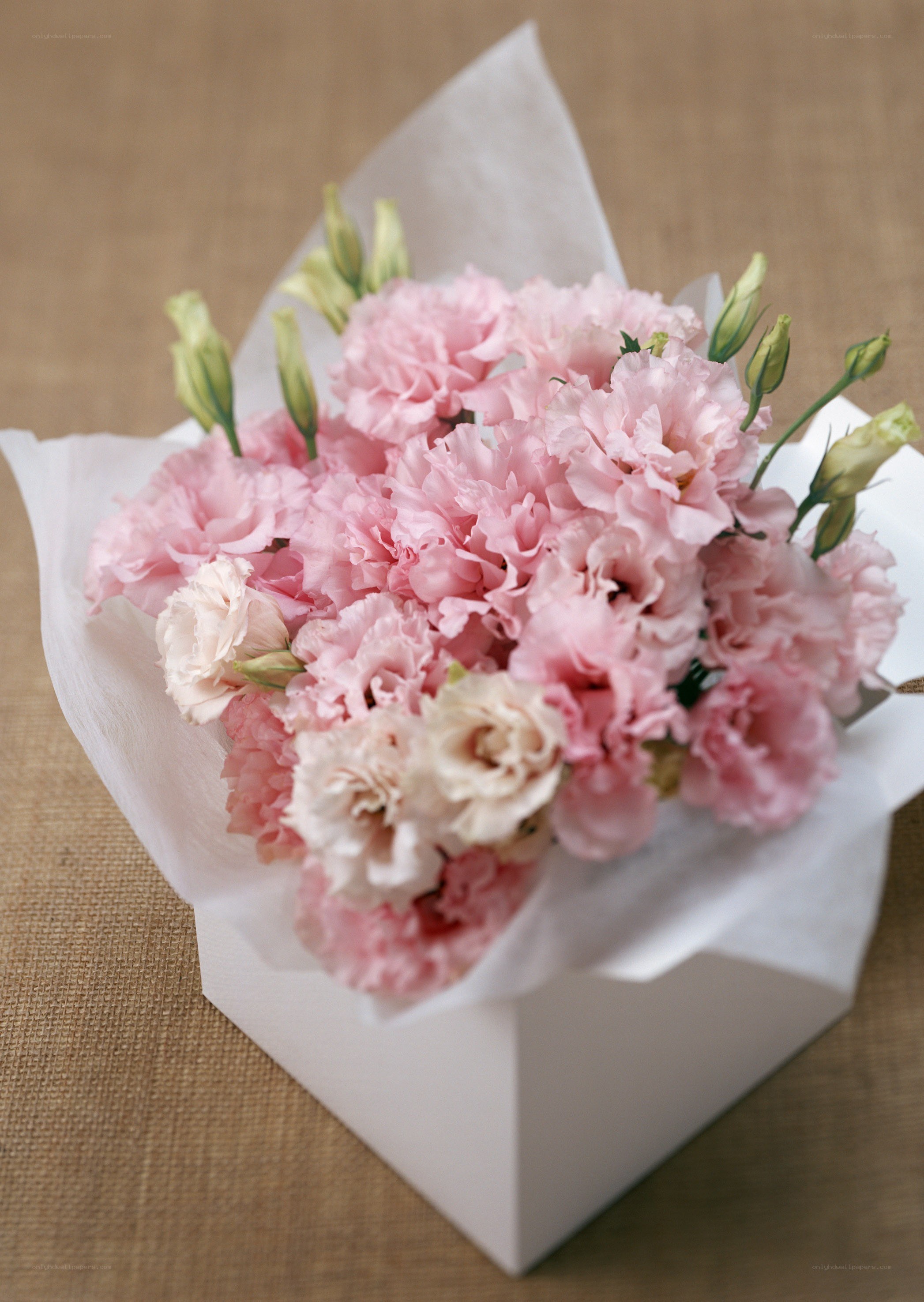 Pink carnation bouquet