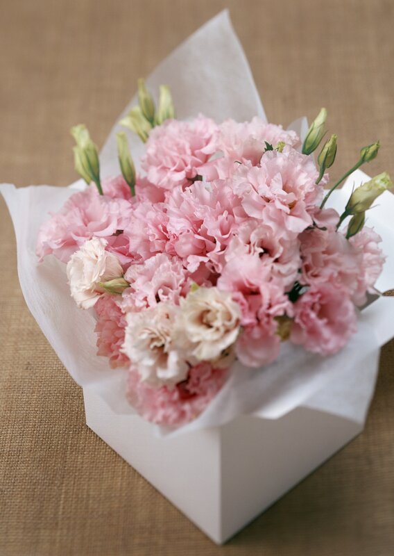 Pink Carnation Bouquet — Calm, Photograph, Flowers, Paper Wrapping