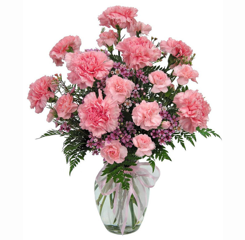 Pink Carnation Bouquet — Calm, Photograph, Greenery