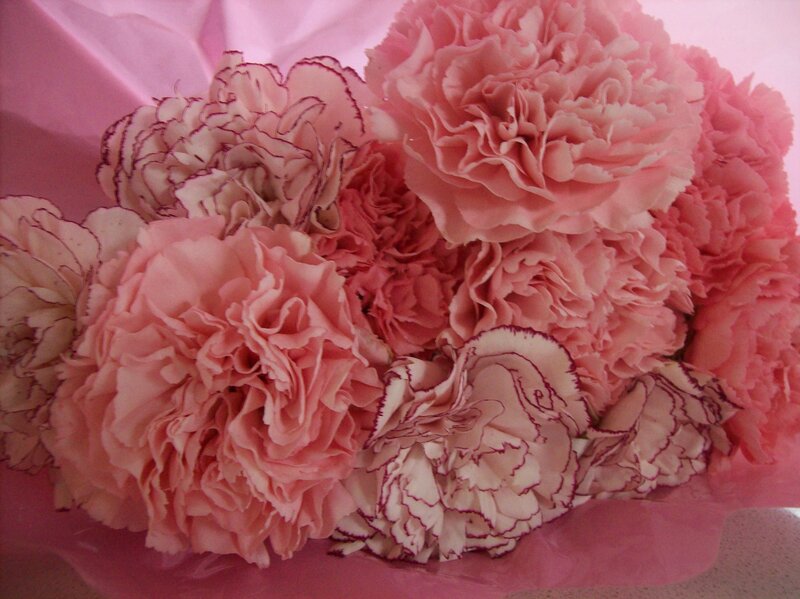Pink Carnation Bouquet — Calm, Photograph